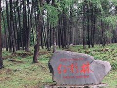 -硗碛藏寨·神木垒景区