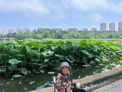 -前关湿地公园