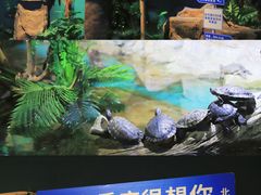 -重庆欢乐海底世界