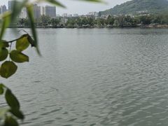 -东湖食堂·湖景餐厅•会议