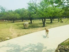 -西安秦岭野生动物园