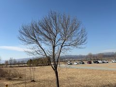 -敕勒川草原文化旅游区