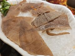 -杨肥肠火锅大排档(火车站花园店)
