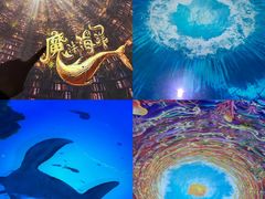 -海合安武汉极地海洋公园