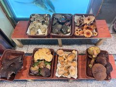 -草墩罗非鱼庄•野生菌•腊排骨(七星街上段店)