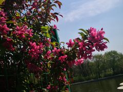 -北陵公园