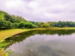 -苏州环秀晓筑养生度假村