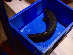 -丰乐斑鱼庄(建业·壹号城邦店)