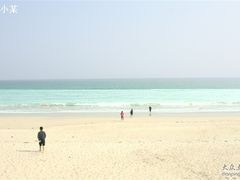 -西涌国际滨海旅游区