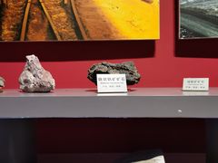 -陕西自然博物馆