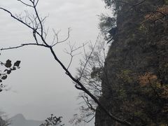 -塔云山