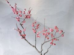 -小湾茶楼