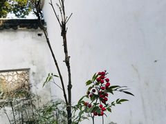 -拙政园