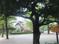 -大连人民广场