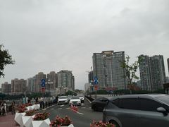 -野狸岛
