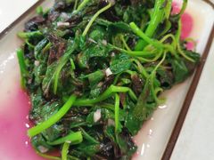 -蜀竹情酒楼(北营房店)