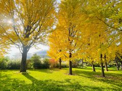 -国家植物园南园