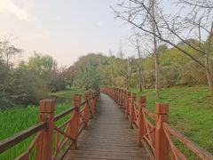 -贵阳市花溪国家城市湿地公园