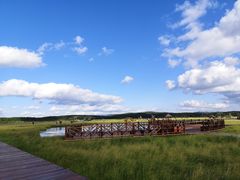 -塞罕坝国家级自然保护区