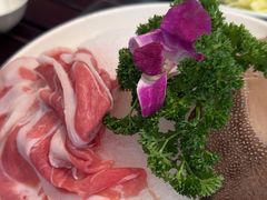 -中苑海韵