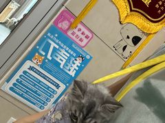 -谐和益家动物医院·免疫绝育·血液透析·宠保定点医院(高新伊藤分院)