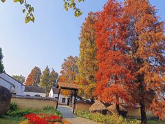 -同里国家湿地公园