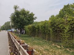 -赵州桥景区