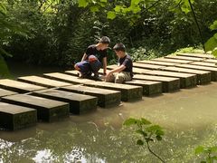 -桤木河湿地公园