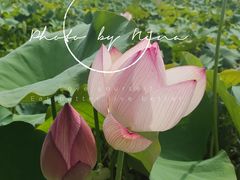 -九屋西岭生态度假景区