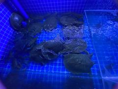 -湘里乡亲甲王二老店