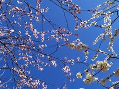 -千纸鹤嫩汁烤肉(学府店)