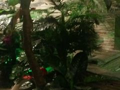 -泉城欧乐堡戏水湾艺术养生温泉