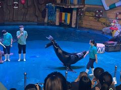 -烟台海昌鲸鲨海洋公园