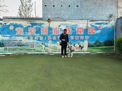 -宠物寄养训练学校