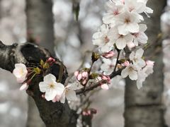 -龙美术馆(西岸馆)