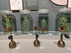 -中国湿地博物馆