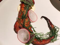 风味章鱼腿-山杏yama-katsu·吉列炸物