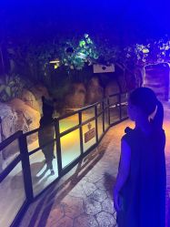 -酷嗒动物文化乐园(cutezoo西溪乐天城店)