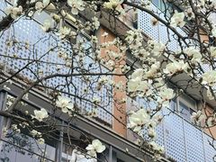 -南京晨光1865创意产业园