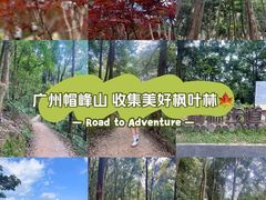 -广州市帽峰山景区