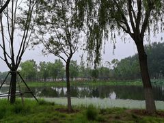 -东郊湿地公园