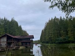 -黄海国家森林公园