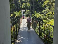 -西双版纳原始森林公园