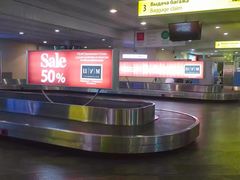 -谢列梅捷沃国际机场