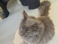-平行世界·猫咖(首经贸店)