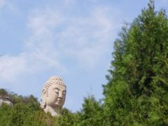 -蒙山大佛景区