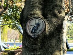 -白塘生态植物园
