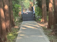 -同里国家湿地公园