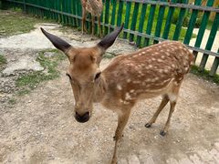 -广东花都香草世界旅游度假区