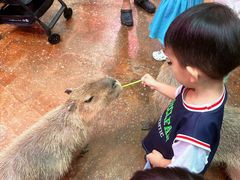 -正佳雨林生态植物园
